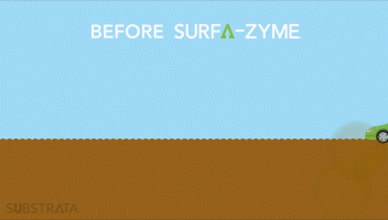 Before Surfa-Zyme