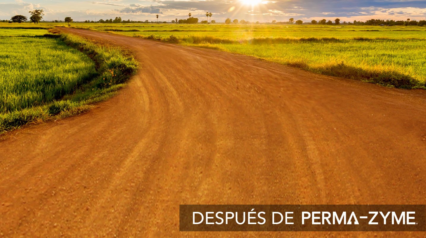 Se aplicó Perma-Zyme a esta carretera.