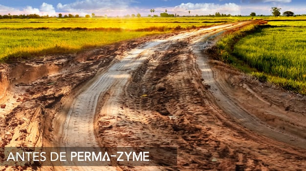 Perma-Zyme BKG Header_V03_Muddy Road@3x_SPANISH