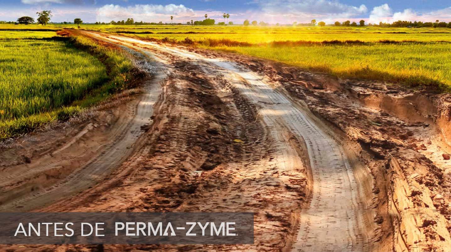 Muddy Road antes de la aplicación de Perma-Zyme
