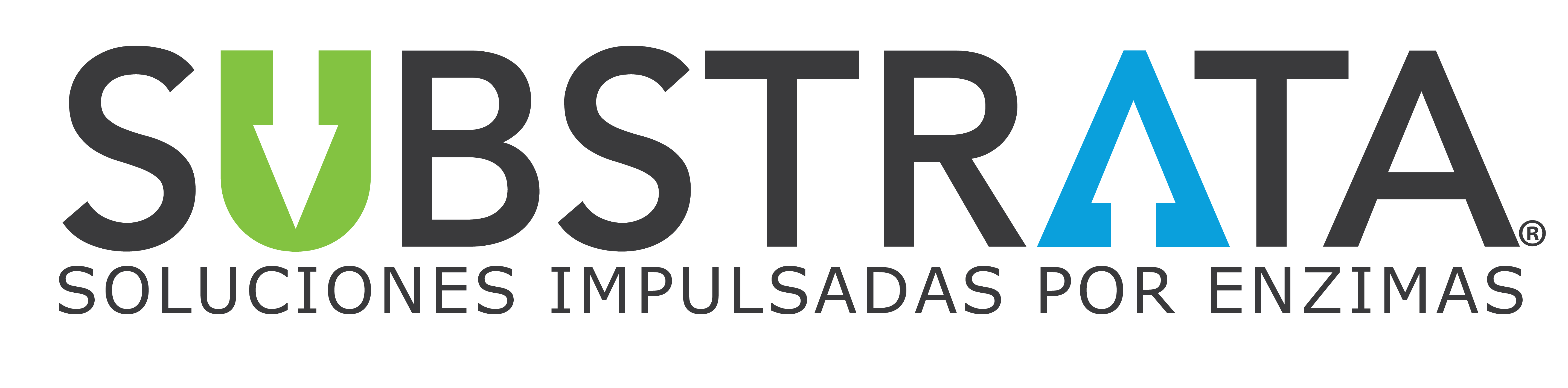 SubStrata_Logo_Tagline_Spanish-01-01