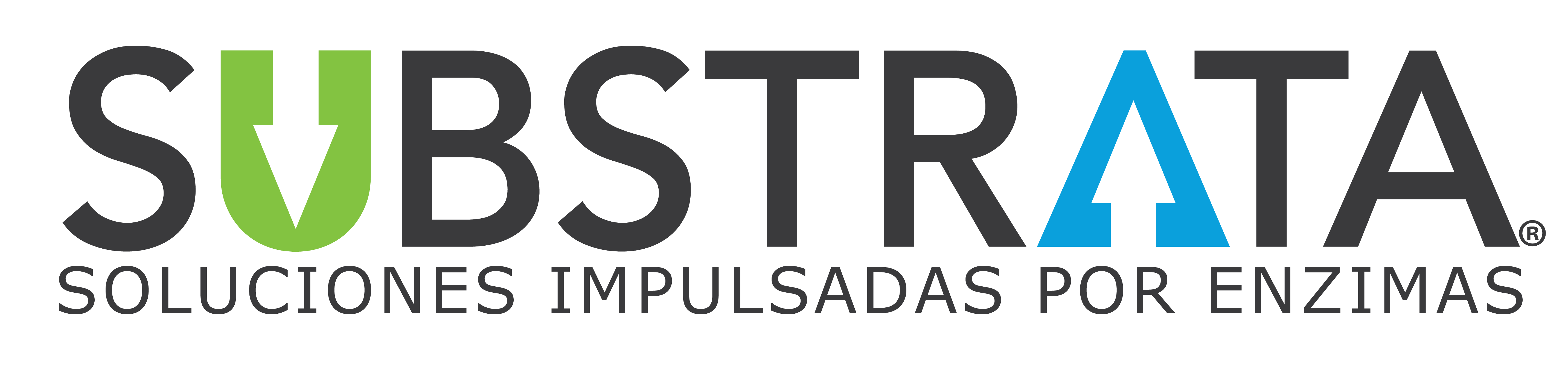 SubStrata_Logo_Tagline_Spanish-01-01