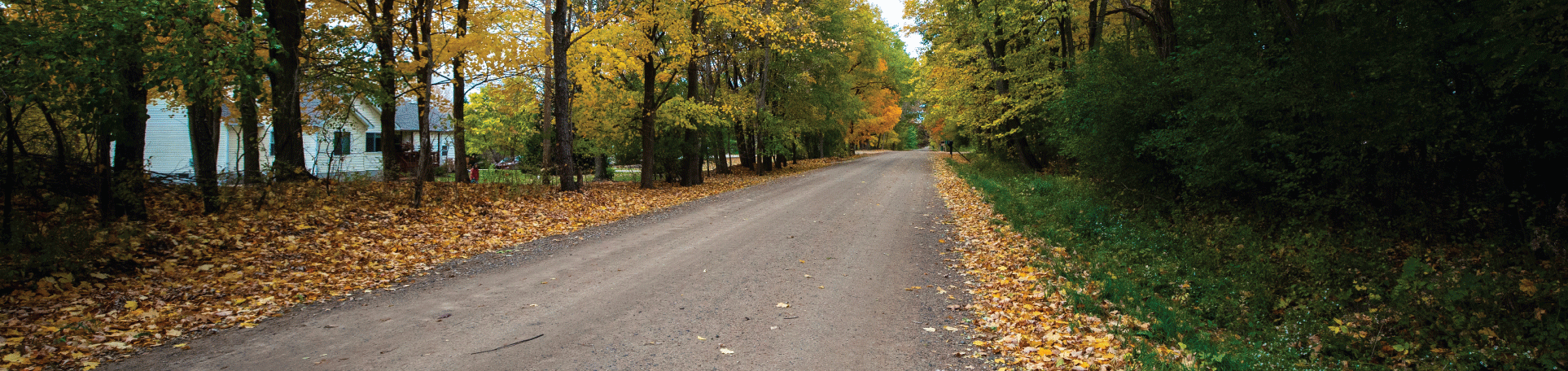 Carretera sin pavimentar tratada con Perma-Zyme que pasa por una propiedad residencial en Michigan