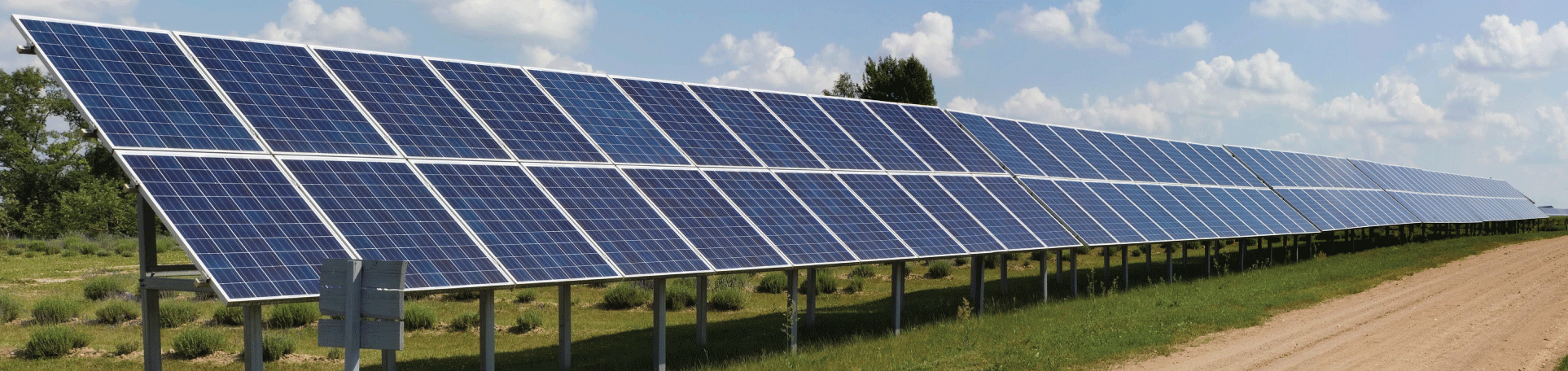 Paneles solares a lo largo de un camino de acceso sin pavimentar en un campo verde bordeado de árboles