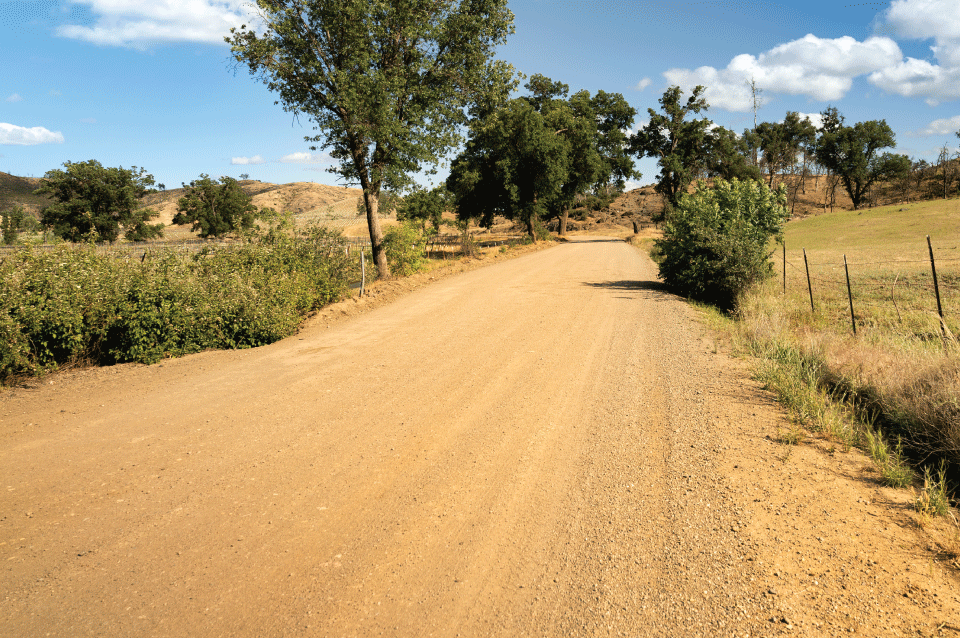 Camino público de tierra arbolado junto a un pasto