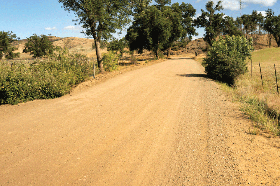 Camino privado sin pavimentar bordeado de arbustos y árboles.