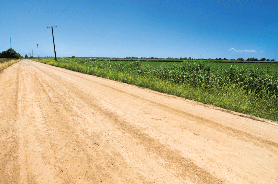 Camino rural sin pavimentar con pastos y campos agrícolas