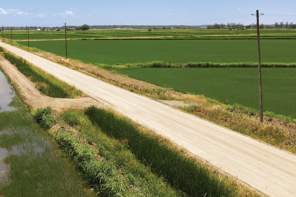 Camino sin pavimentar tratado con Perma-Zyme en una zona agrícola