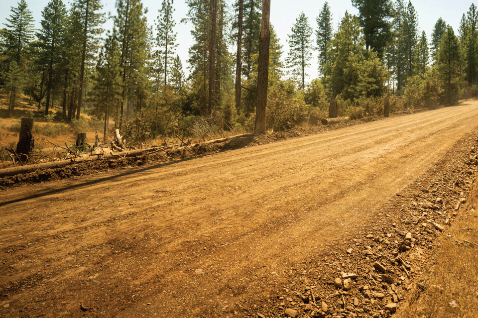 Camino de tierra sin pavimentar y bordeado de árboles que las empresas de energía verde podrían utilizar en Mariposa, California