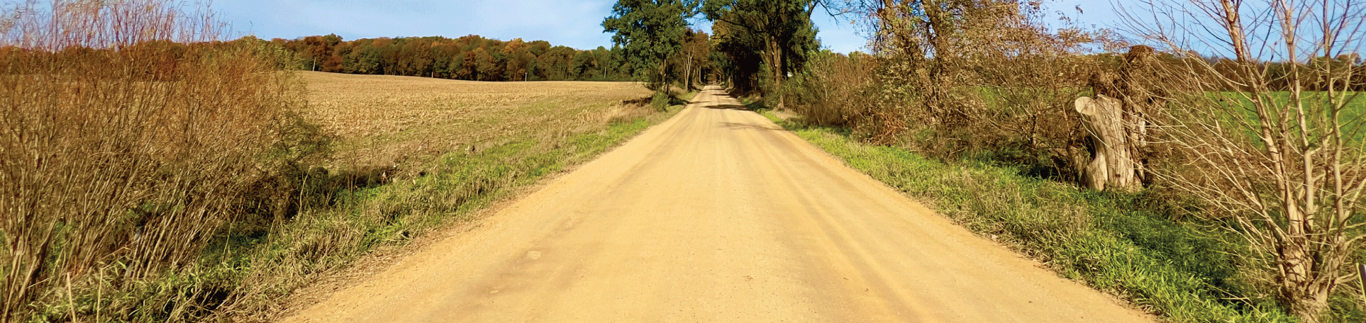 Carretera tratada con Perma-Zyme en una comunidad agrícola de Michigan