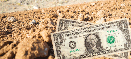 Billetes de un dólar tendido en una carretera de tierra del condado